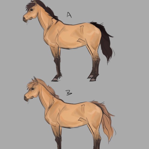 Some Sketches And Explorations From My Concept Project Based On The Scorpio Races! Id Love To Come Back