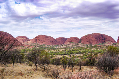 2005: 36 conglomerate domes make up Kata Tjuta (formerly known as The Olgas), which are 40km west of