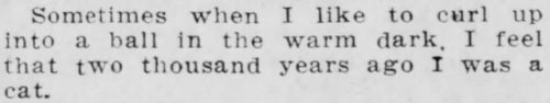 yesterdaysprint:El Paso Herald, Texas, November 18, 1910