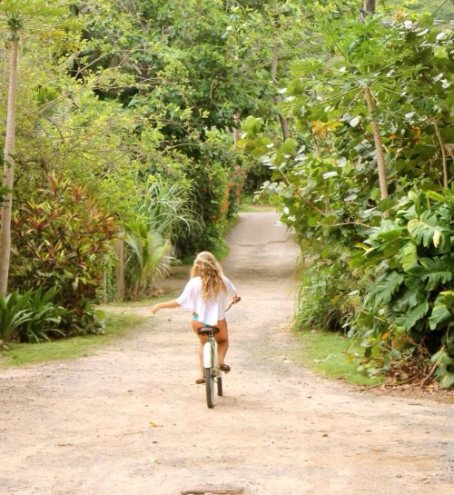 elegantandwild: Free.