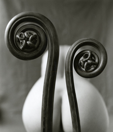 cherban11:  Mark Arbeit 