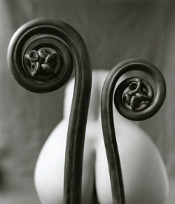 inneroptics:  MARK ARBEIT 