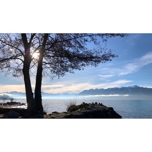 Morning coffee #lausanne #pully #sunrise #lacleman #alps #landscapephotography #iphoneography #pictu