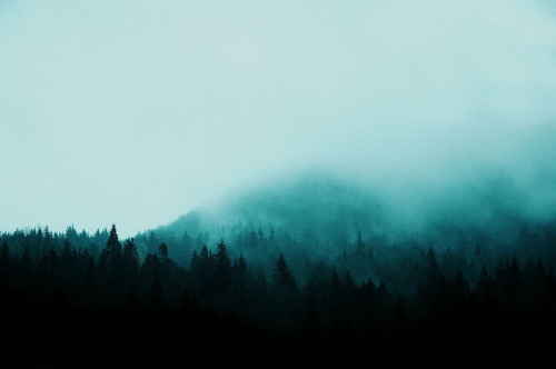 grett:  Fog by Michellisphoto on Flickr. 