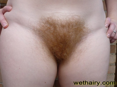 Hairy Pictures
