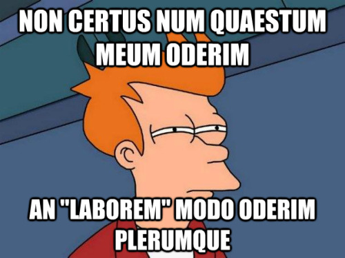 Non certus num quaestum meum oderimAn &ldquo;laborem&rdquo; modo oderim plerumqueNot sure if I hate my jobOr just &ldquo