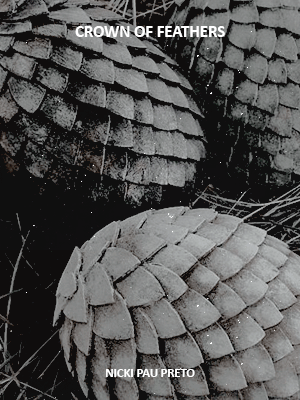 roryglimore: books read in 2019: crown of feathers, by nicki pau preto. sometimes the title of queen