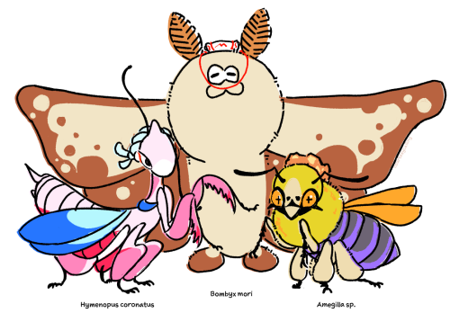 Deep Cut as bugs (Big Man is a silkmoth, Shiver is an orchid mantis, Frye is an Amegilla bee)
