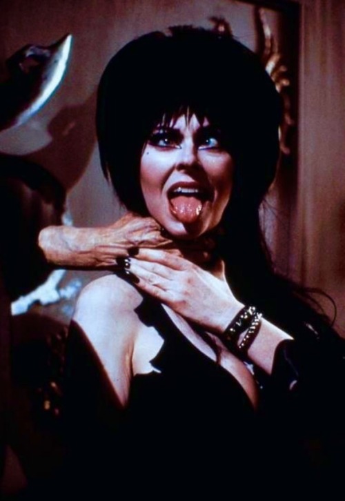bayareabackstage:  Happy Birthday,Elvira!!!
