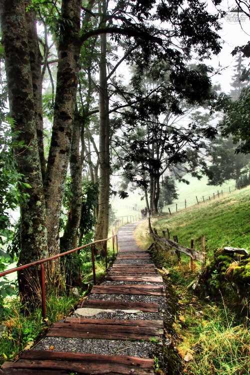 greatwideworldphoto: Stairway to Heaven | Original by Great Wide World Photography Taken in Switzerl