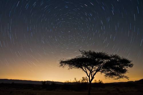 Porn fromgrapevine:  Star trails spin over Ramon photos