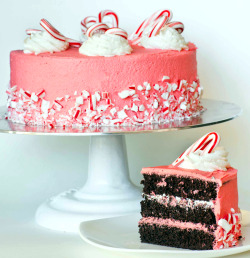 delicious-food-porn:Peppermint Mocha Cakethere’s no going wrong here