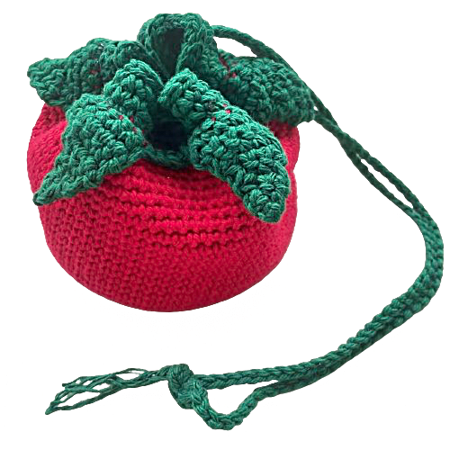 Bag For Your Tomato By Curiouslifecrafts