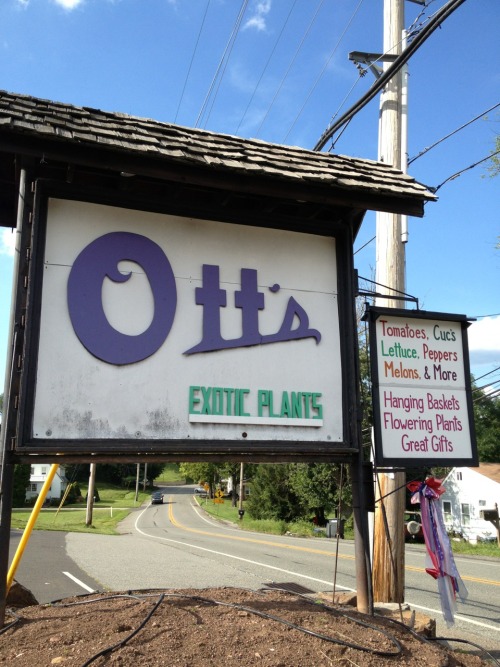 nyackbackyard:Otts Exotic Plants in Schwenksville PA is definitely one of the strangest, most wonder