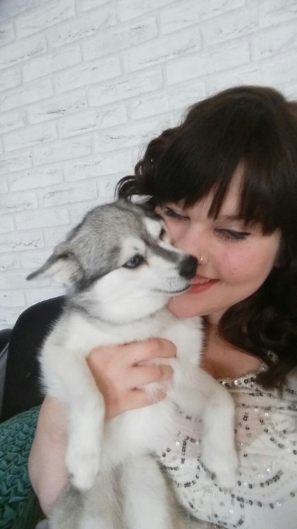 Trying to take selfies with your dog = giant fail. They were having none of it today.