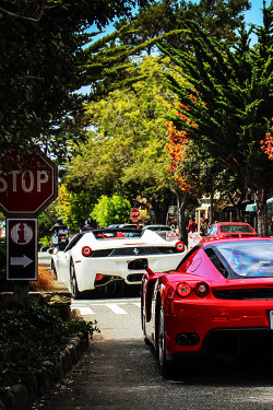 fullthrottleauto:  Ferraris (by Chase Thesing) (#FTA)