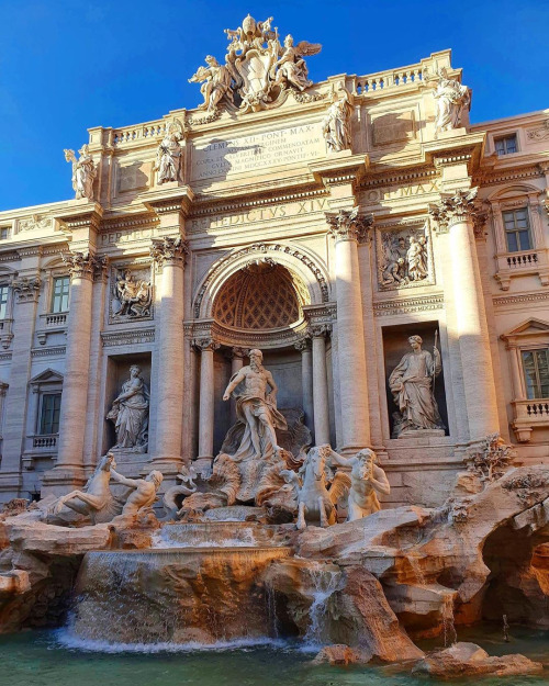 infected:The Trevi Fountain, Rome, Italy, photo by Кошевая Людмила