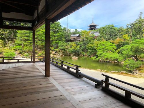 仁和寺庭園 [ 京都市右京区 ] Ninna-ji Temple Garden, Kyoto の写真・記事を更新しました。 ーー平安時代創建の #世界遺産 #国宝 寺院で、 #亀岡末吉 や七代目 #