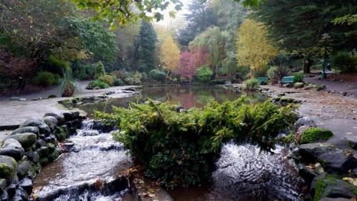 An Autumnal Park.