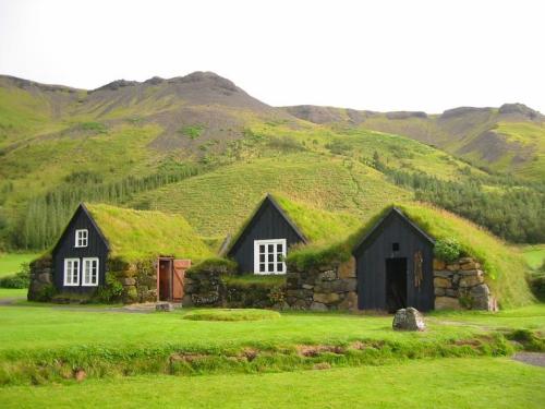 fuckyeahvikingsandcelts: Turf houses in Iceland.