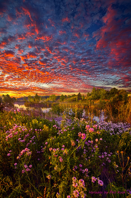 “Love, God”Wisconsin Horizons by Phil KochTurning natural landscapes into portraits of n