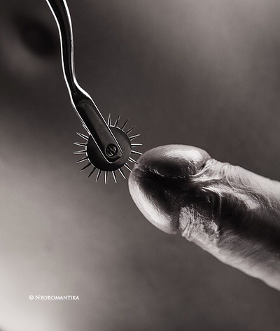 daddysdlg: The Wartenberg Wheel can be used to create all kinds of delicious sensations for a sub. Used lightly, it can tickle, while causing a sense of anticipation. With more pressure, it can cause sharp pain or break skin - so be sure to properly disin