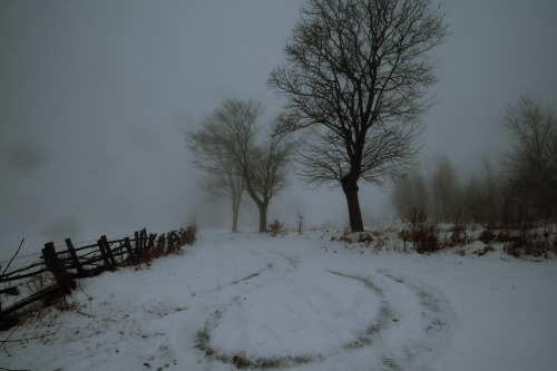 This time I post something else - head-cam footage: https://youtu.be/UIVDRhJeQc4 A foggy, winter wal