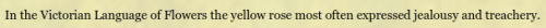 bonni:Chas Bogan, Rose Meanings // William Blake, “My Pretty Rose Tree” // Clive Barker, The Damnati