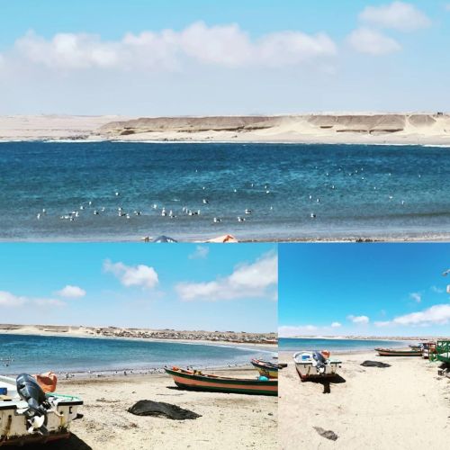 #puertoviejo #atacama #rutacostera Https://www.instagram.com/p/CIbrRkUpCCQ-9ZGT-6ZNt30mV0vFrBD4c5K5Nw0/?igshid=il2o6lyfj0sn