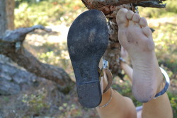 linkasfeet:  Linka in the forest, part 1