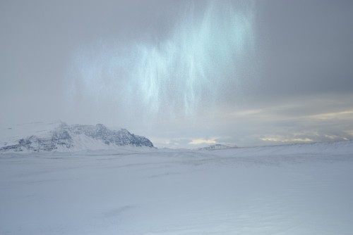 lafilleblanc:  Inka & Niclas Lindergård Becoming Wilderness, 2013-2014 