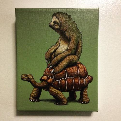 “Speed is relative” #slothlife