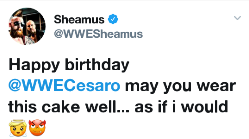 deidrelovessheamus:  Happy Birthday Cesaro may your wear this cake well…. as if I would😇😈
