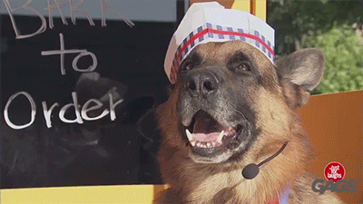 chandra-nalaar:  sizvideos:  The dog selling hot dogs prank - Watch the video  finally