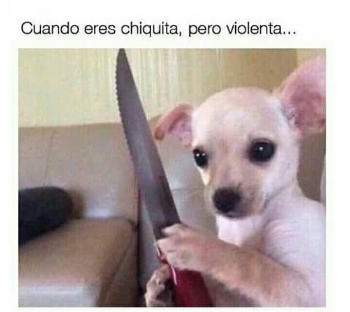 TERRIBLE HD