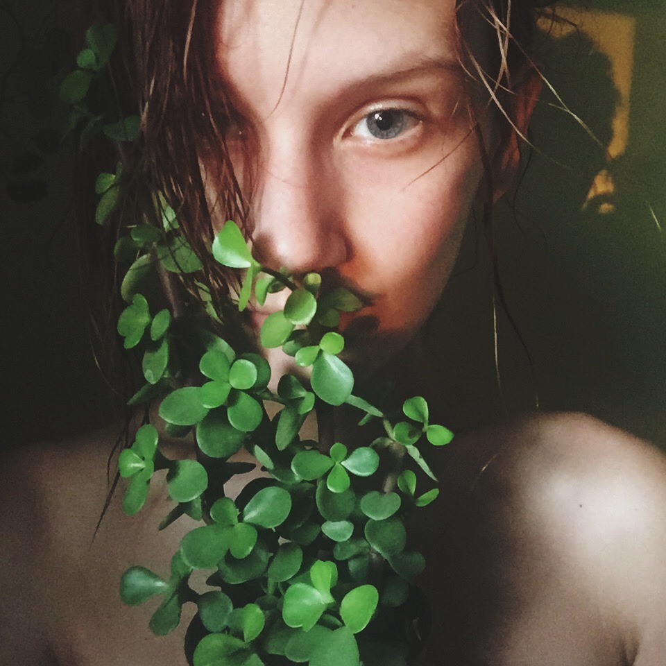 dayzea:  Afternoon shower, sunset light. Coconut oil &amp; plants