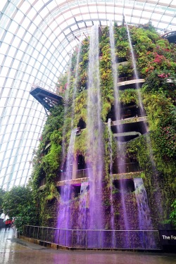 tokyogems: gardens by the bay, singapore.