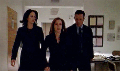 scully/doggett/reyes + friendship“If not proof of the paranormal, then … of more important th
