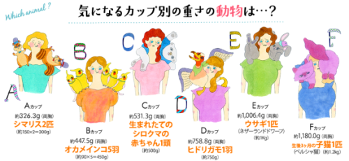 Japanese Lingerie Compares Women’s Breast Sizes to Animals & Pancakesview via: http://www.japanr