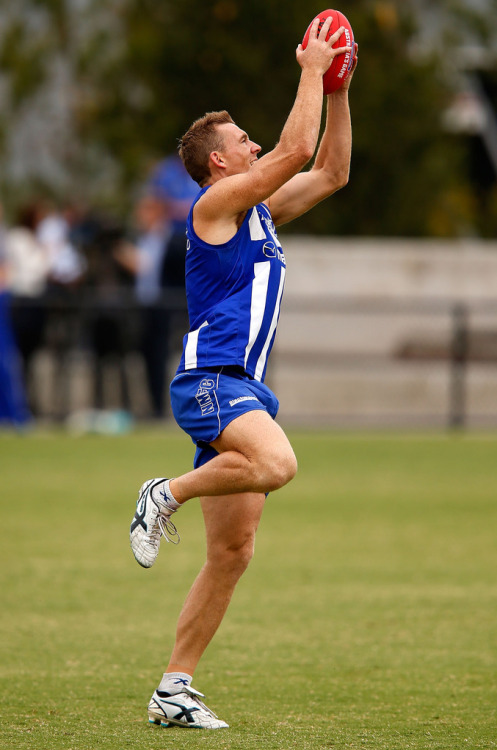 roscoe66:  Andrew Swallow of the North Melbourne Kangaroos 