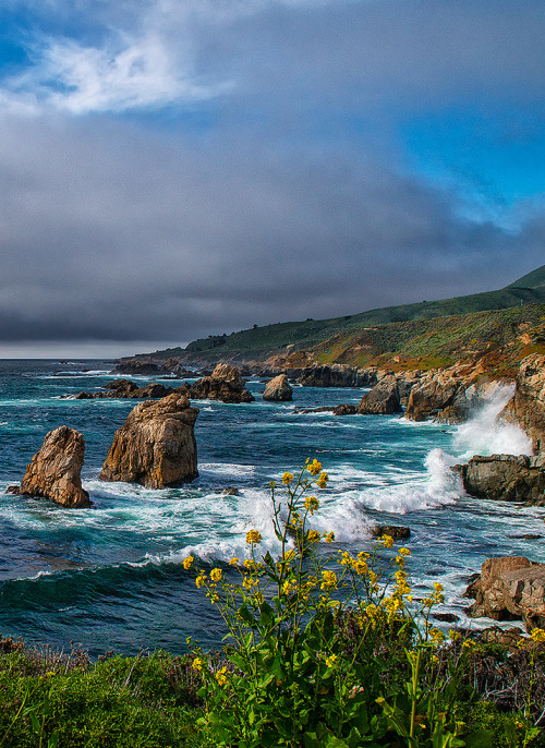 coiour-my-world:Carmel by the Sea by Darvin Atkeson 