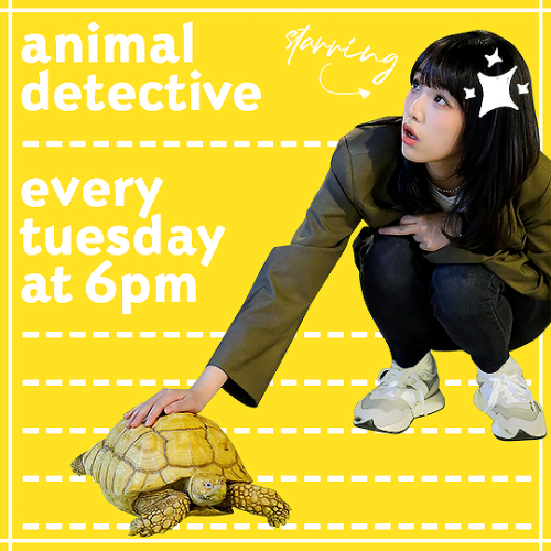 yena on animal detective! ~ for @1zone