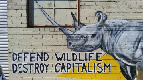 “Defend Wildlife, Destroy Capitalism” Seen in Sydney