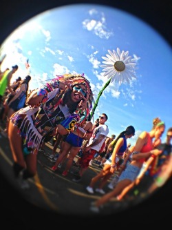 kaymdane:  EDC NY 2014 