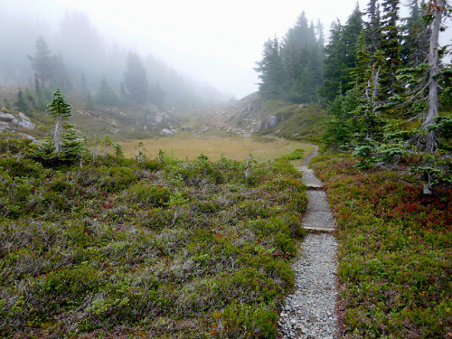 Approaching Windy Gap by williswall