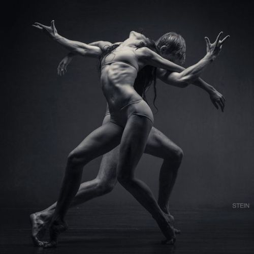 the-history-of-fighting: B&W Dance