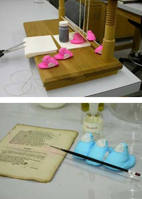 preservearchives:Take a Peep into the Conservation Lab!More images here: http://www.katherineswiftke