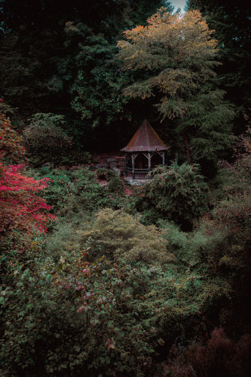 The First Day Of Autumn