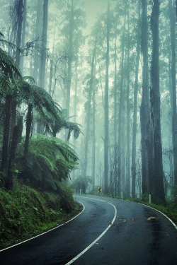 ilaurens:  Black Spur - By: (Greg Briggs)