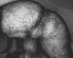 hairymax: